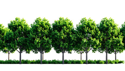 Row of vibrant, leafy trees with a green shrubbery border, set against black