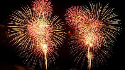 Naklejka premium fireworks in the night sky