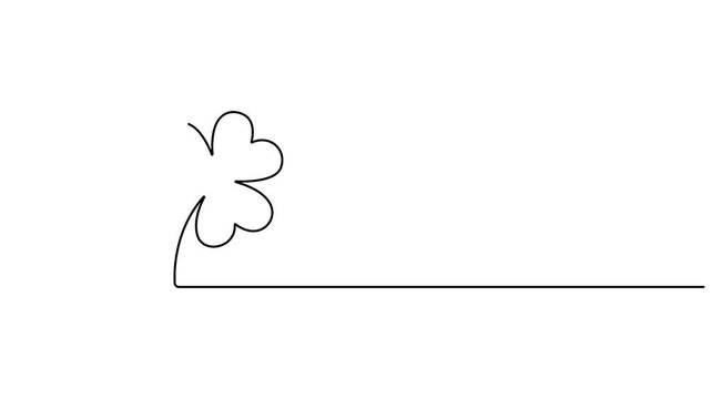 Self animated continuous line drawing of a four-leaf clover. The four-leaf clover is a rare variation of the common three-leaf clover and is a widely recognized symbol of good luck.