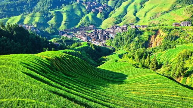 Aerial shot of beautiful green rice terrace fields and villages with valley natural landscape in Guilin, China.