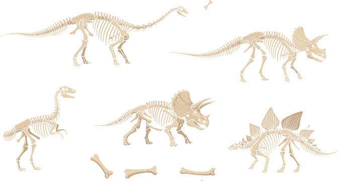 Dinosaur skeleton vector illustration set with prehistoric fossils, bones, and extinct reptiles for paleontology, museum education, science, and history design concepts