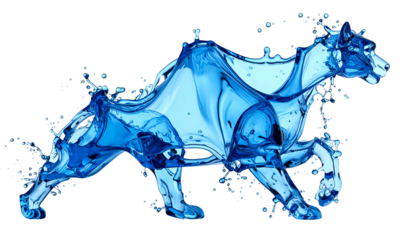 A blue water panther leaps gracefully, a fluid form against a stark black background