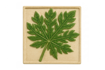 Ceramic bas-relief tile with green papaya leaf