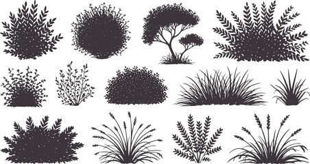 Hand drawn black and white fern bush and grass set © Mehedy