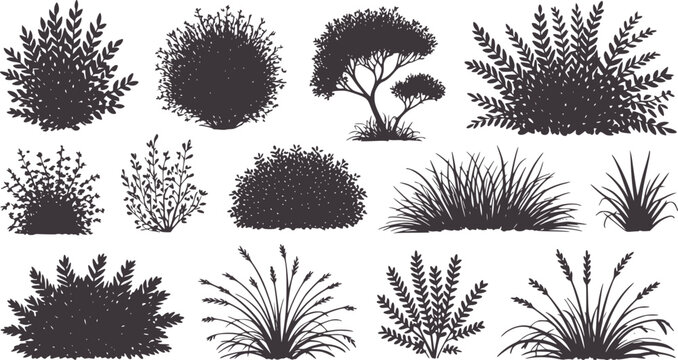 Hand drawn black and white fern bush and grass set