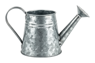 Watering flowers with a galvanized metal can in a garden isolated on transparent background