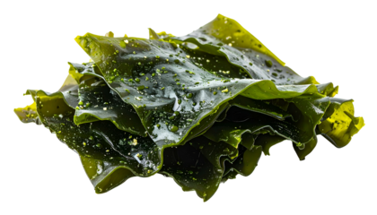 A close-up of shiny, green seaweed leaves with water droplets, isolated