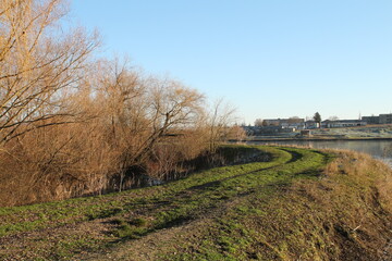 A river with trees and a bridge