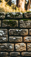 Close up of a weathered stone brick wall with moss.