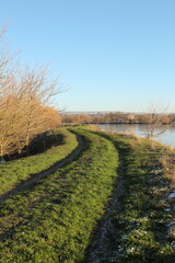A grassy field with trees and a body of water in the background