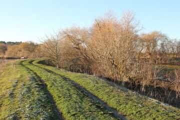 A field with trees on it