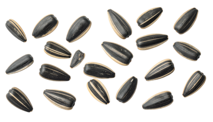 A close-up shot of a scattering of seeds showcasing their striped patterns and dark outer shell against a stark background