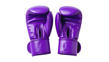 Two violet-colored boxing gloves, posed symmetrically, floating against a black, blank background, with shadows
