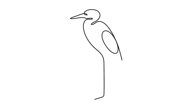 Self animated minimalist, single continuous line drawing of a heron. Full length unbroken line art vector illustration