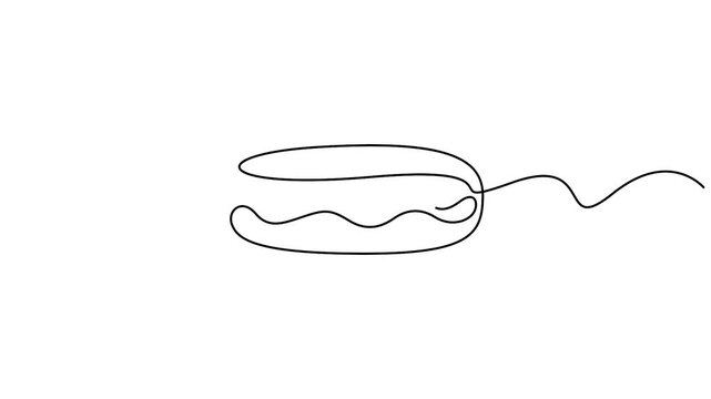 Self animated minimalist, single-line vector drawing of a hot dog. Full length unbroken line art animation