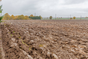Freshly plowed agricultural field under moody autumn sky