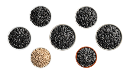 Overhead shot showing seven bowls filled with various seeds. Six are dark, and one is light. The bowls are arranged in a circular formation against a black background