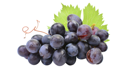 Black grapes on white background