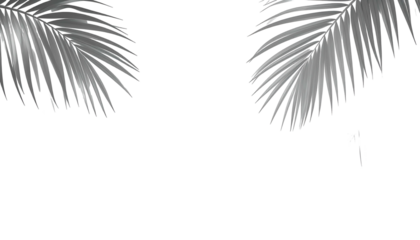 Two silver-toned palm leaves frame the upper portion against a stark black background