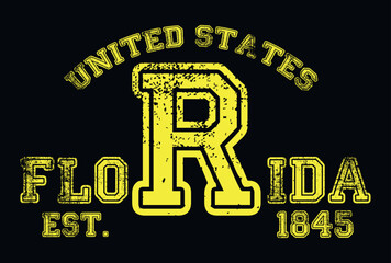 Vintage varsity college typography united states of america !!! slogan text print with grunge texture for graphic tee t shirt or sweatshirt hoodie or sticker poster - Vector