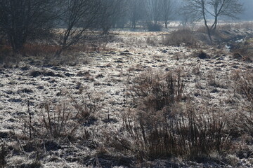 zimowy krajobraz poranka