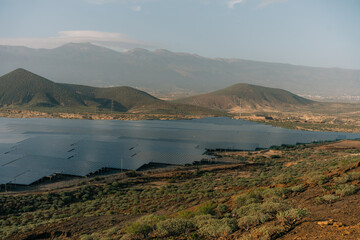 Obraz premium Group of solar and photovoltaic panels for electric power production in Tenerife