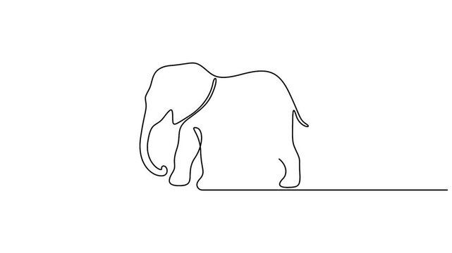 Self animated minimalist illustration of an elephant created using a single, continuous line drawing technique