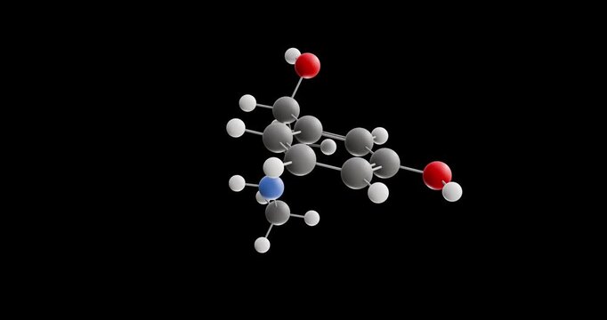 Phenylephrine molecule, rotating 3D model of adrenergic agonist, looped video on a black background
