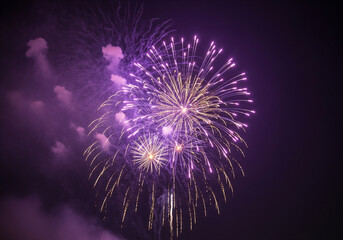 Vibrant Purple and Gold Fireworks Exploding in Night Sky
