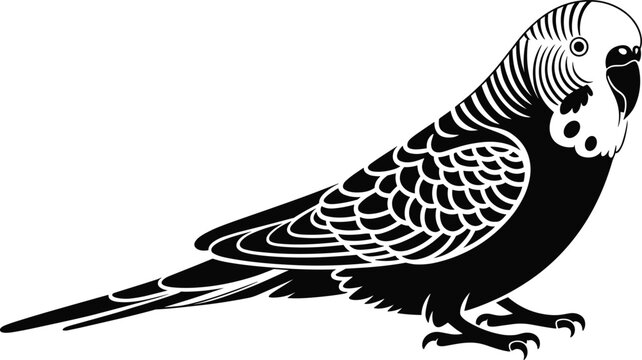 High-Contrast Black and White Silhouette Illustration of a Budgerigar Parakeet with Detailed Wing Patterns for Pet and Nature Branding.