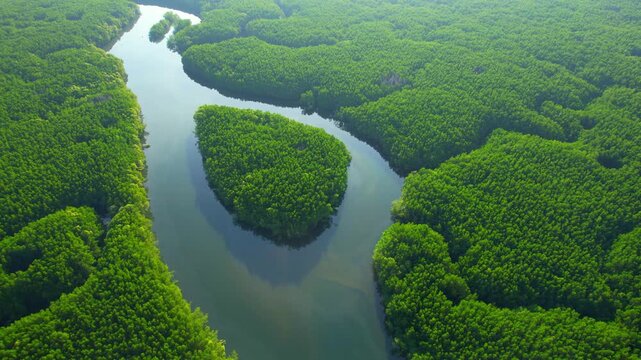 Aerial View of River and Forest: An expansive river in the Sundarbans winds through a lush, verdant forest, highlighting the harmony of nature and the breathtaking beauty of the Earth.