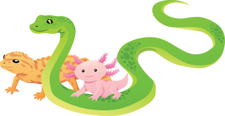 Fototapeta premium Green snake, yellow lizard, and pink axolotl, exotic terrarium animals.