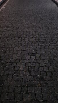 Night road cobblestone path illuminated by parallel street lamps stretching into the distance in a dark empty park.