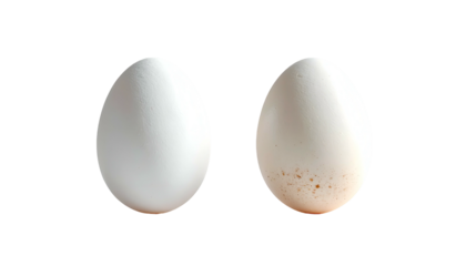 Two white eggs on a stark black background, one with faint brown spots