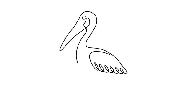 Self animated single continuous line drawing of a pelican