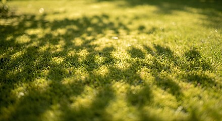 Warm Garden Background with Leaf Shadow Pattern and Copy Space