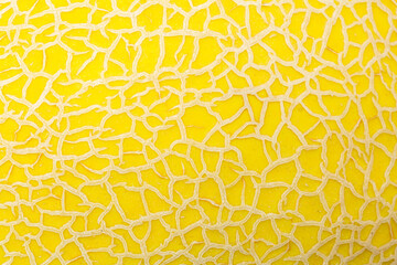 Cantaloupe macro surface,Surface of Cantaloupe melon skin background, Close up of melon textured