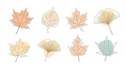 Obraz premium An artistic set of autumn leaves including maple and ginkgo drawn in a delicate line art style with abstract color shapes.
