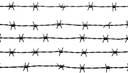 Close-up of multiple strands of metal barbs set against a stark black background