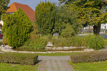 Green Plants Water Pond Small Park in Town Croatia Sunny Autumn Day