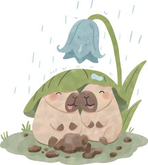Sleepy Capybara Resting Under Leaf in the Rain