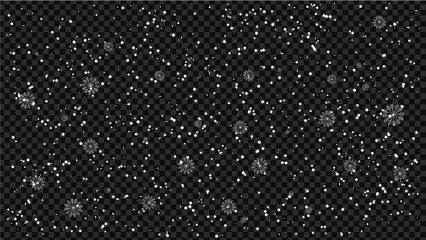Realistic Falling Snowflakes and Snow Particles Overlay Winter Snowfall Effect