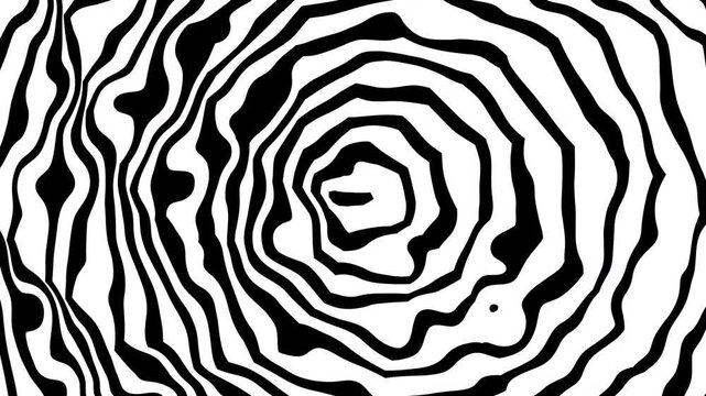 Zebra animation dances in abstract black and white concentric circles, suitable for motion graphics, animalthemed designs, and playful illustrations.