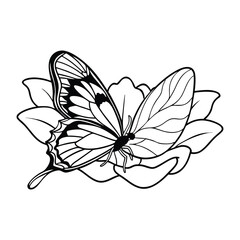 Butterfly silhouette on flower petal