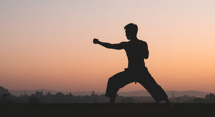 Young man practicing martial arts in silhouette during sunset  