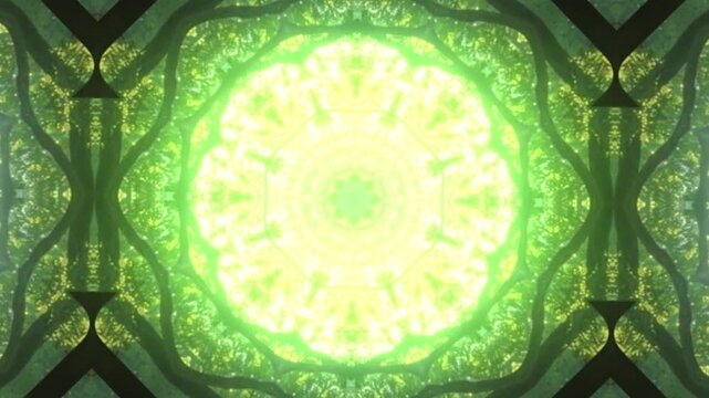 4k animated abstract background psychedelic pattern nature neon green color looping forever
