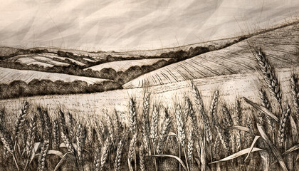 Tranquil rural field landscape with tall grasses and distant hills.