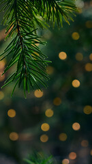 Green Christmas tree 