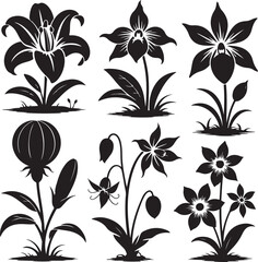 Elegant collection of decorative flowers in silhouette style