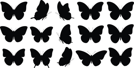 Butterfly silhouettes collection isolated on white background, black insect shapes set, elegant nature illustration for design, decoration, branding © VectoBloom